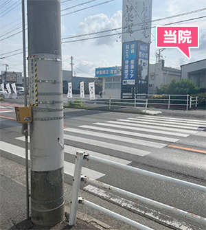 バスでお越しの方で当院までの道順５